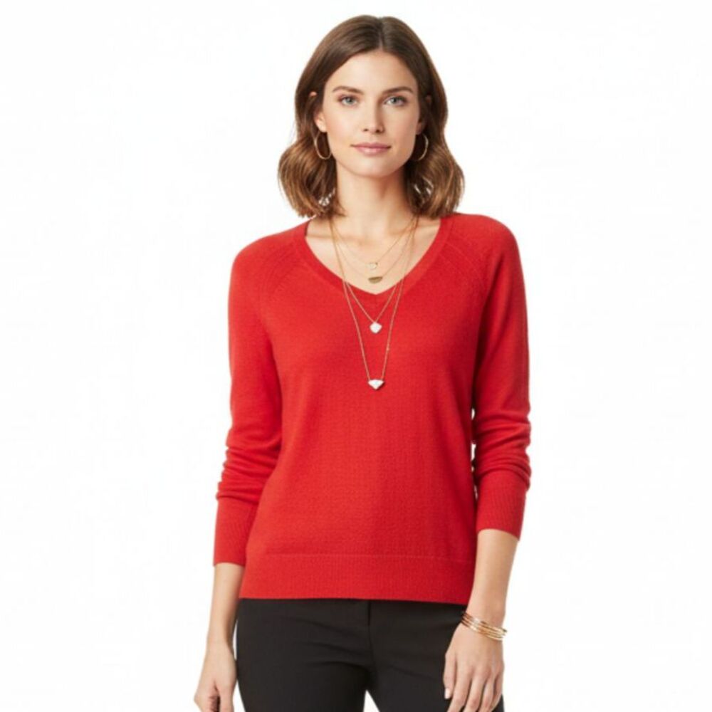 Apt 9 Cashmere Blend Long Sleeve V Neck Sweater NEW M